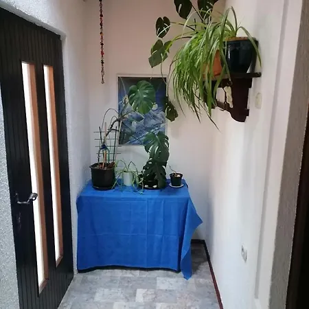 Zepina Apartamento *