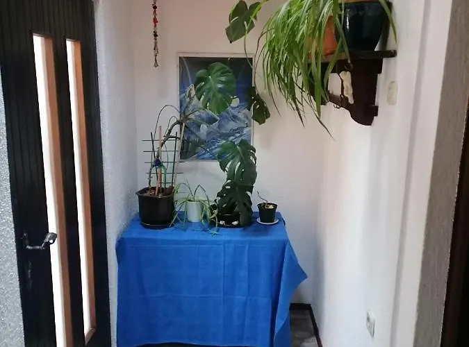 Zepina 公寓 *